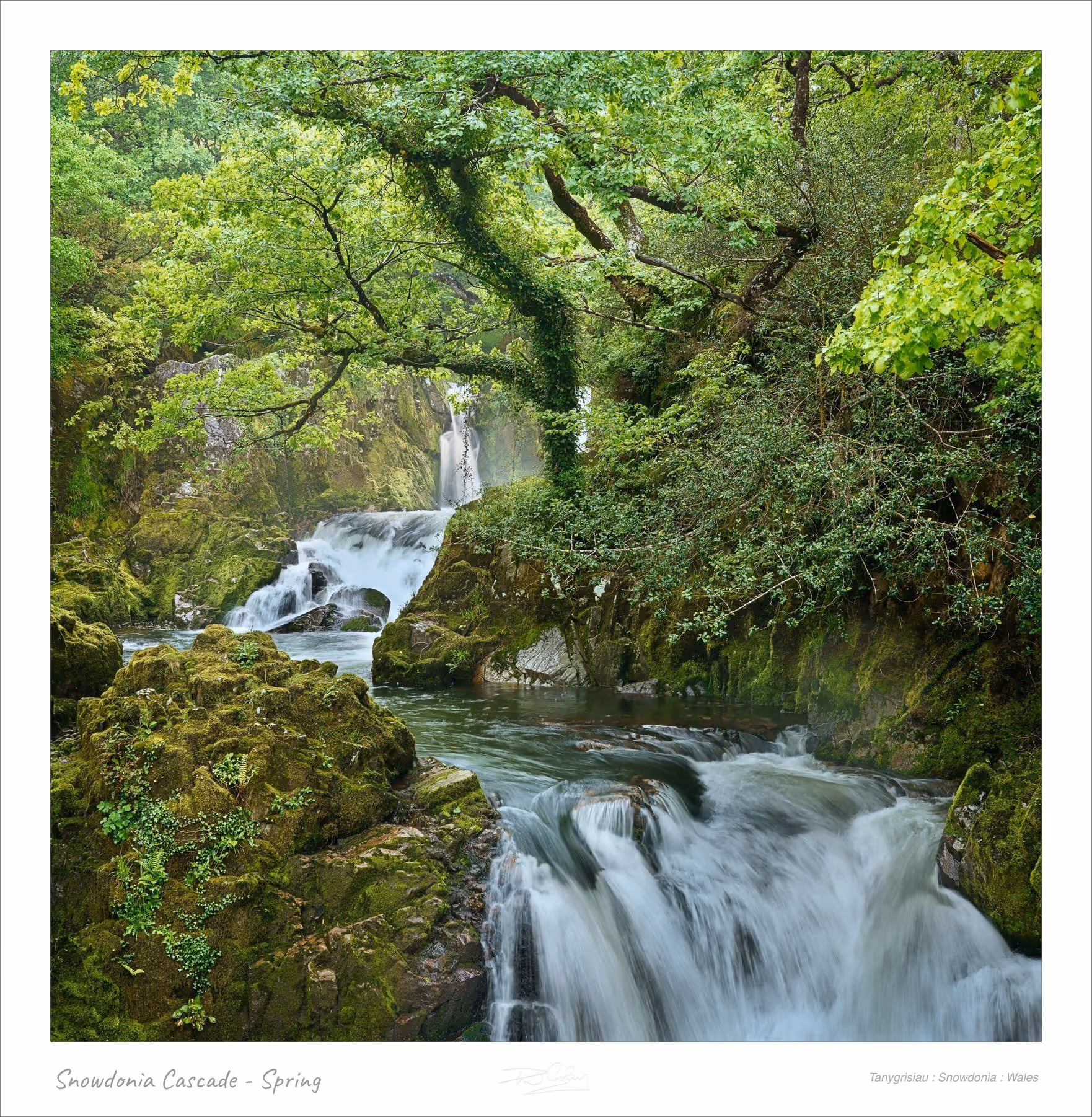 Snowdonia Cascade - Spring