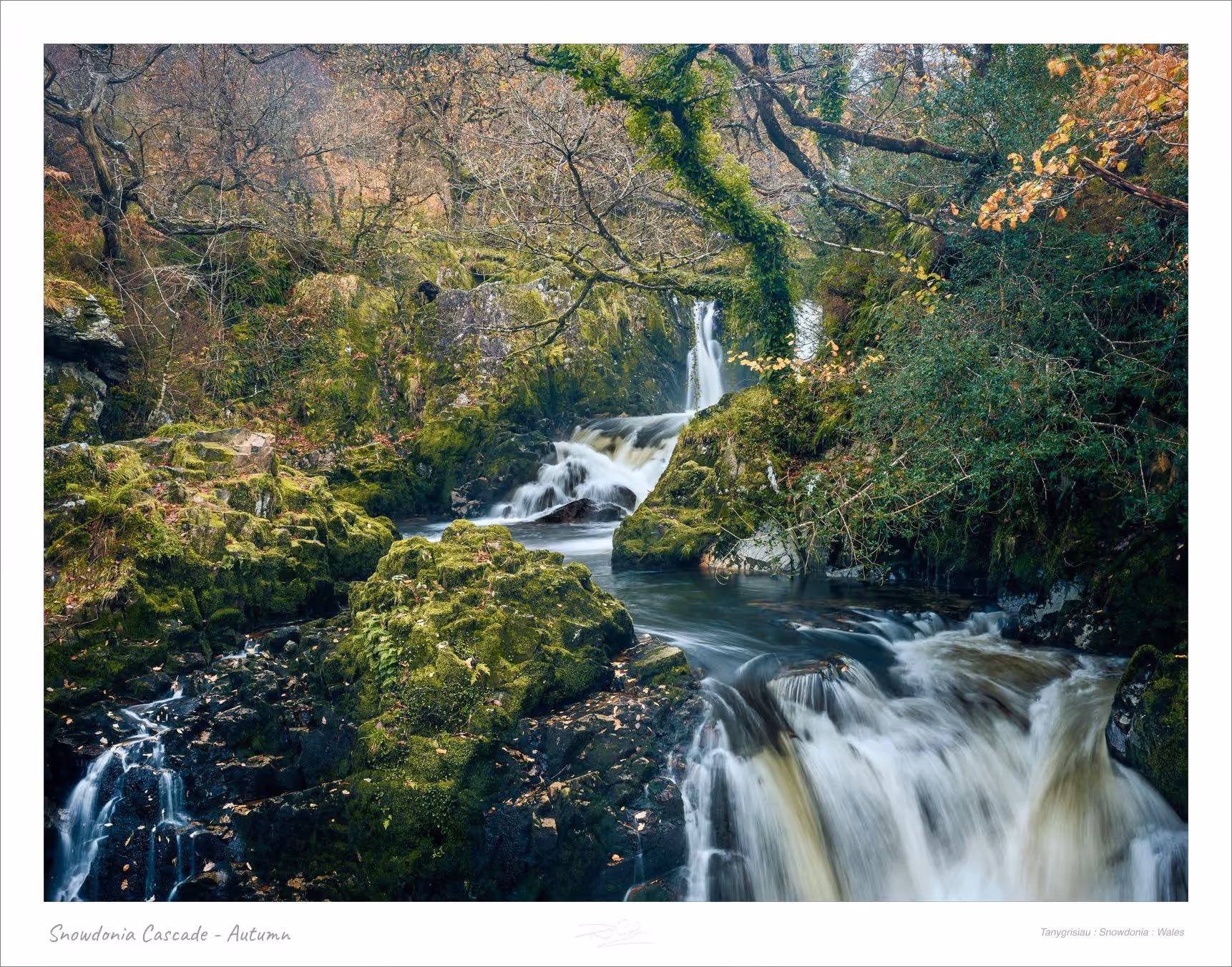 Snowdonia Cascade - Autumn