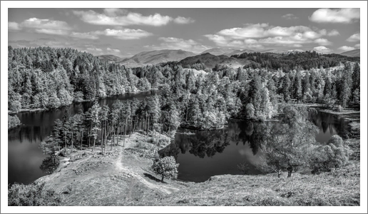 Tarn Hows in Black and White