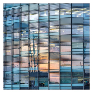 Evening Reflections