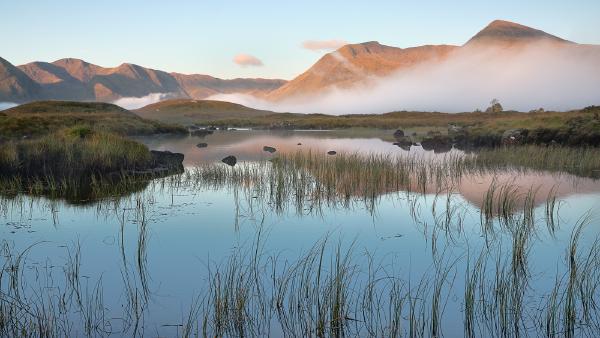 Early Morning Mist