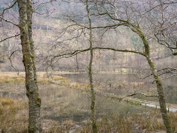 Yew Tree Tarn