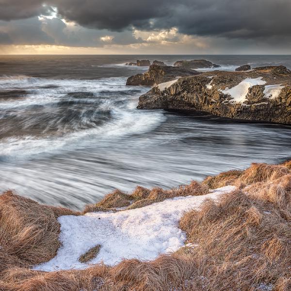 Grass and Waves