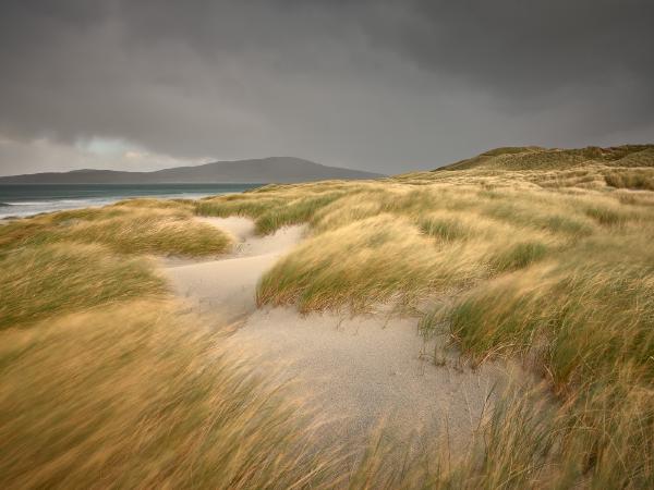 Luskentyre Dunes