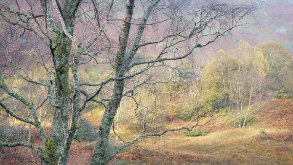 Borrowdale