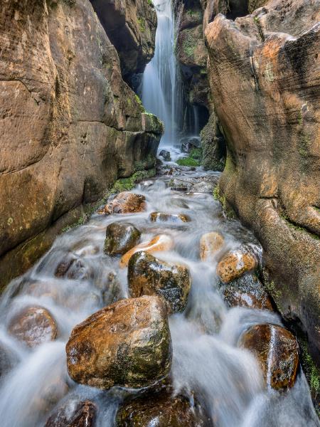 Cascade Canyon