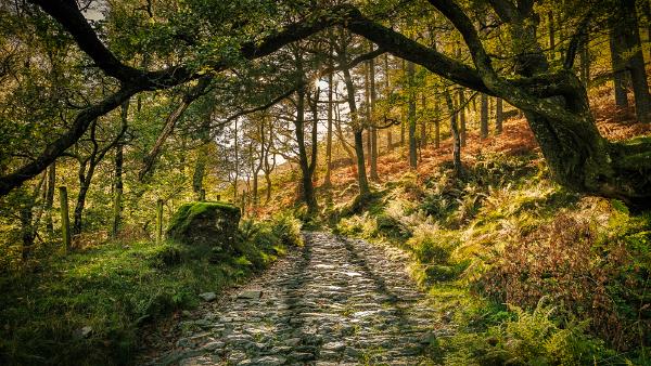 Path to Castle Crag