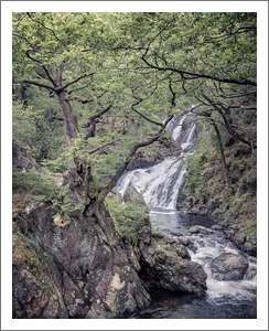 Black Falls in Summer