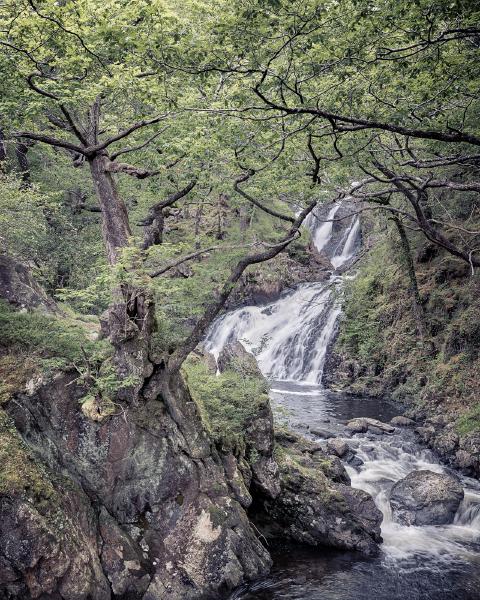 Black Falls in Summer