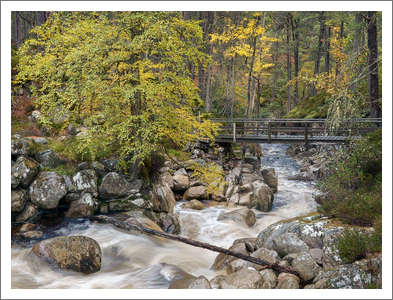 Autumn Bridge