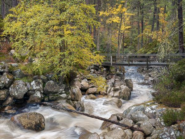 Autumn Bridge