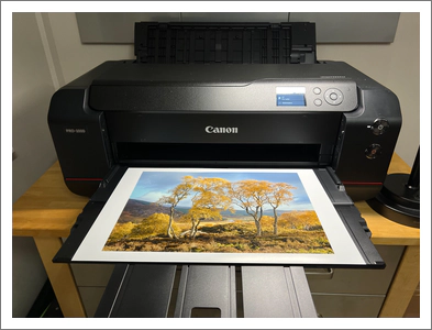 The new Canon PRO-1000 with a beautiful print of “Sun Kissed”