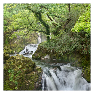 Snowdonia Cascade - Spring