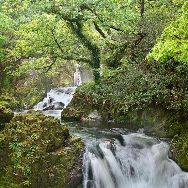 Snowdonia Cascade - Spring