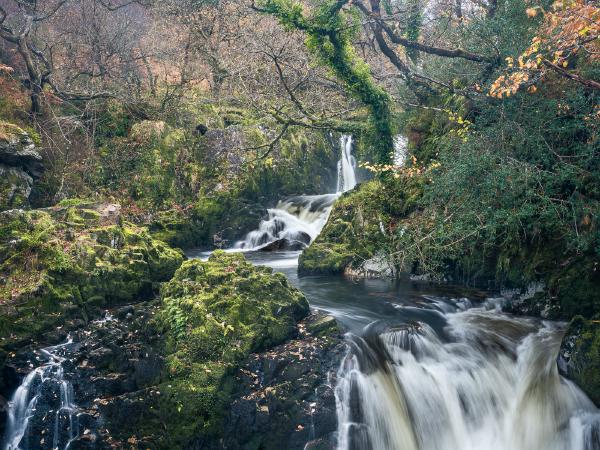 Snowdonia Cascade - Autumn