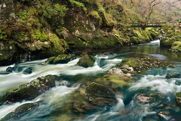 Rainforest Gorge