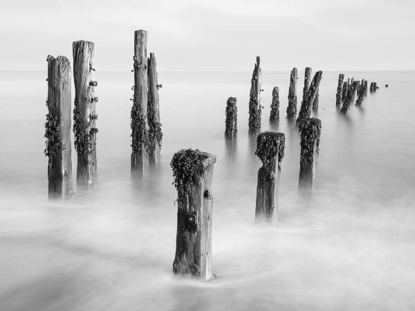 Groynes