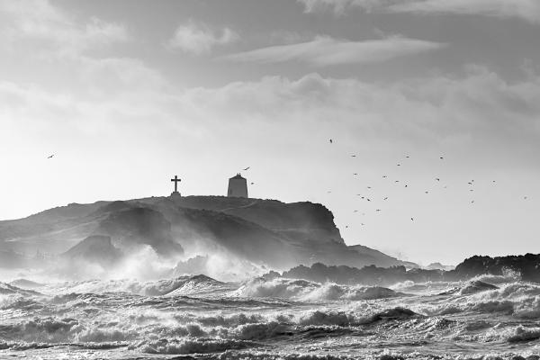 Gull Island