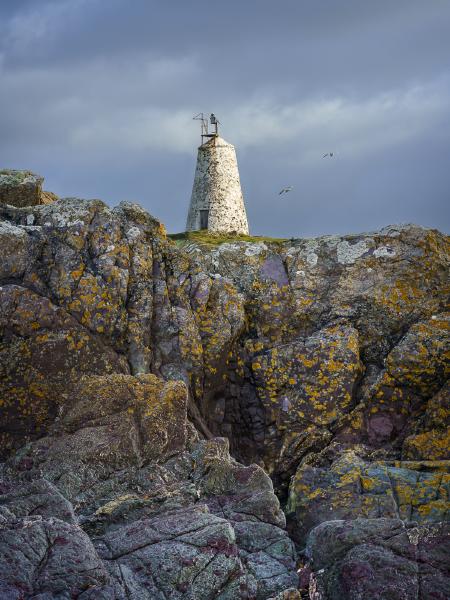 Gull Tower