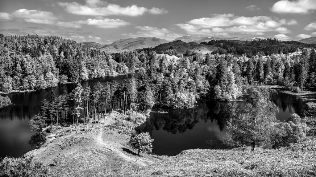 Tarn Hows in Black and White