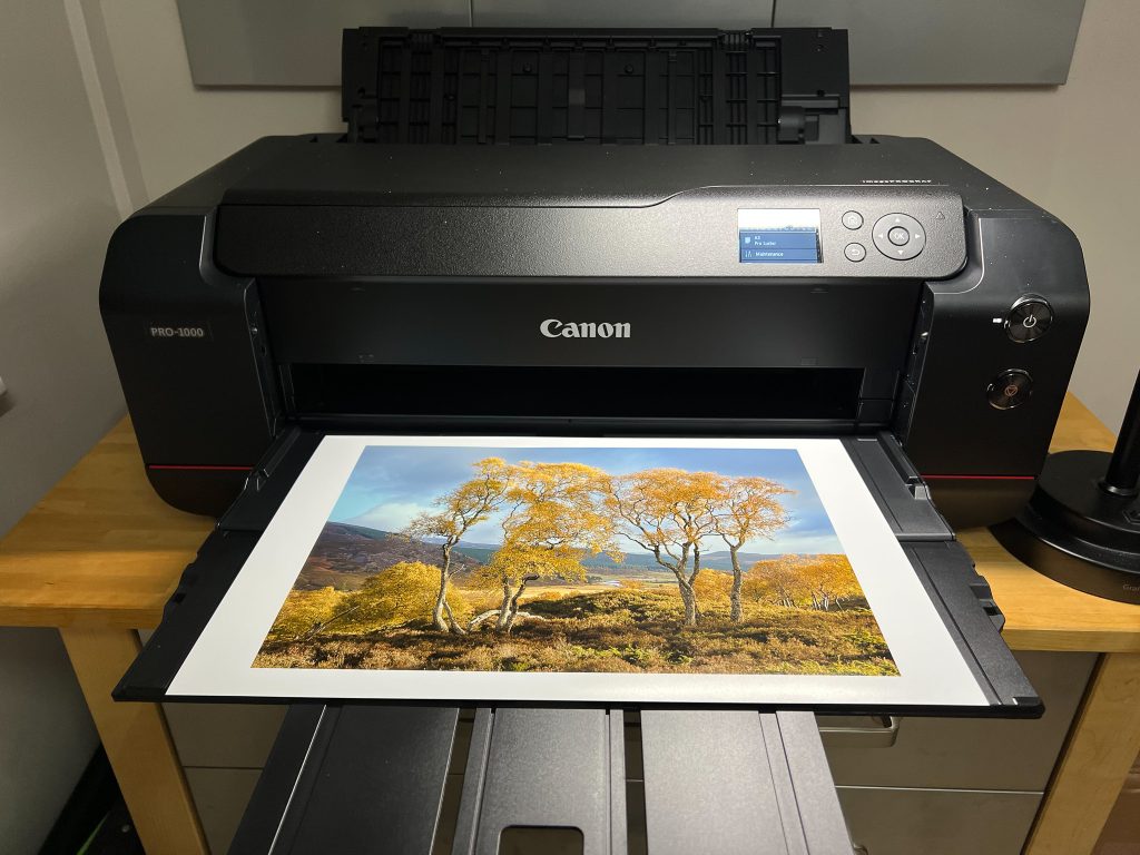 The new Canon PRO-1000 with a beautiful print of “Sun Kissed”